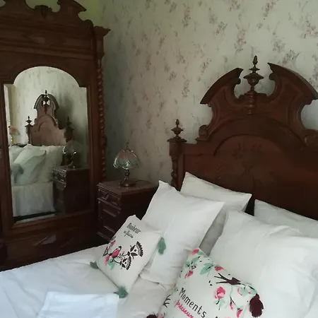 Domaine De Champ Rose 3* Saint-Laurent-de-Belzagot